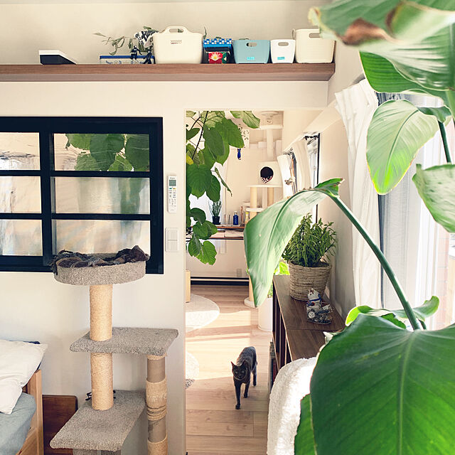 73の-【まとめ買いでお得】部屋を明るくするUVカット・遮熱・ミラーレースカーテン[日本製]の家具・インテリア写真