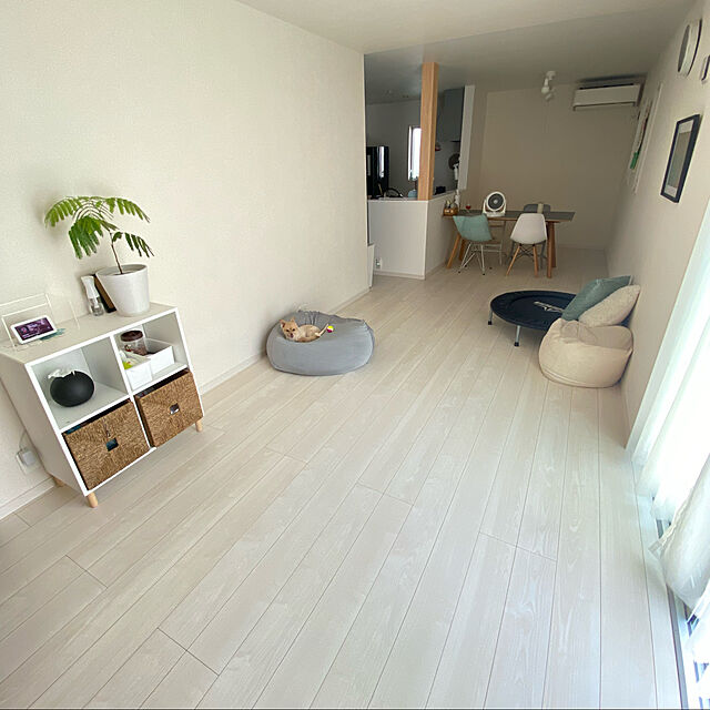 zun_kakei_のニトリ-ミニビーズクッション専用カバー(NクールSPn-s) の家具・インテリア写真