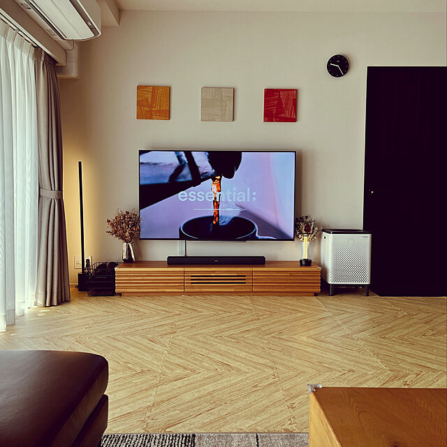 スタープラチナ TVセッター壁美人 Lサイズ 37～65インチ対応
