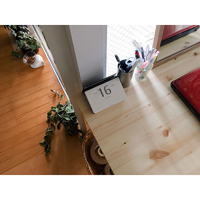warashibeの-pidan Agezen 高床式食器（犬猫用フードボウル ハイタイプ スタンド）の家具・インテリア写真