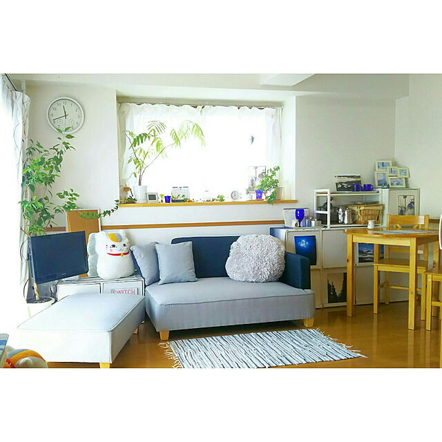 F.M.の-salut!(サリュ) MDFディスプレイラック ホワイトの家具・インテリア写真