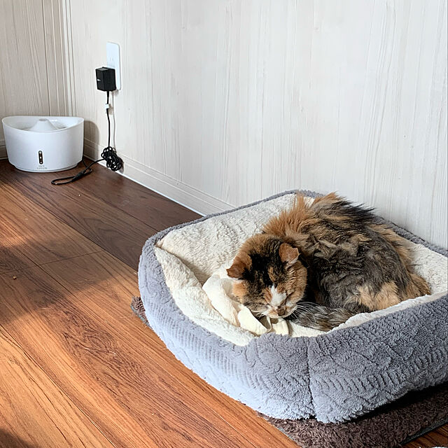 mikeume7の-ピュアクリスタル 1.5L 猫用 ホワイトの家具・インテリア写真