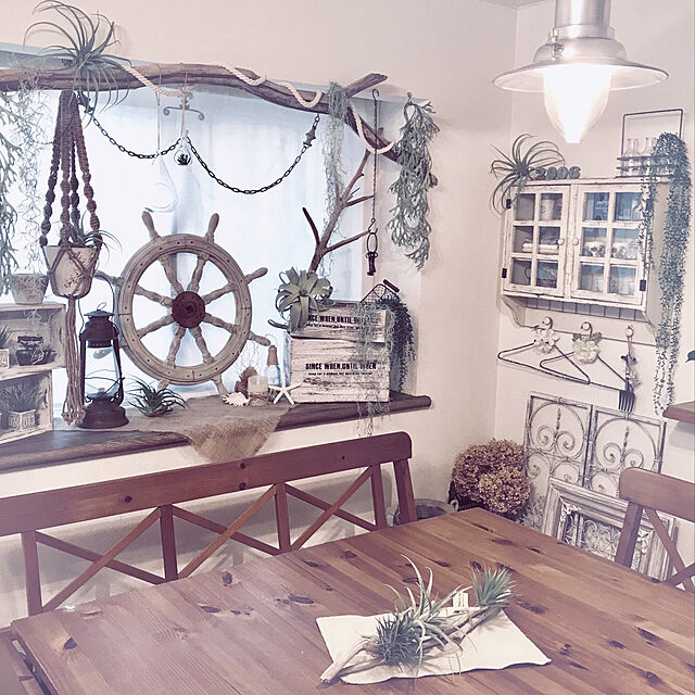 soraのポッシュリビング-（OUTLET30）エアープランツLL フェイクグリーン 造花 イミテーショングリーンの家具・インテリア写真