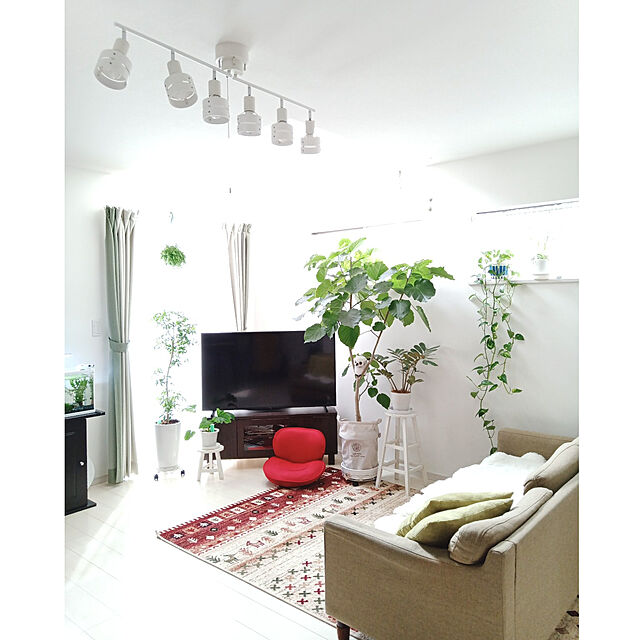 aquaの丸八真綿-洗える短毛ムートン 2匹サイズの家具・インテリア写真