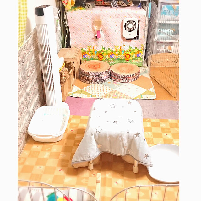 mariaの川井-KAWAI C・A・T フルハウスの家具・インテリア写真