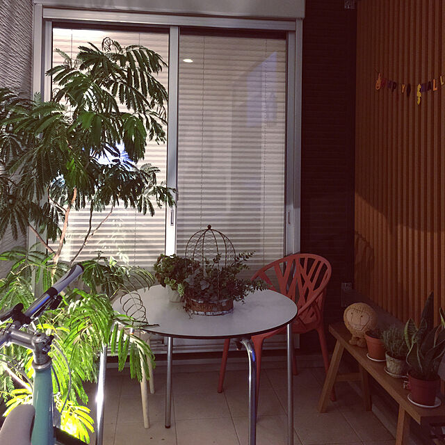nanoの-【正規取扱店】 vitra ヴィトラ Vegetal ベジタル デザイン：Ronan & Erwan Bouroullec ロナン＆エルワン・ブルレック カラー：6色 ポリアミド アウトドア・スタッキング可能 椅子 家具 (カクタス)の家具・インテリア写真