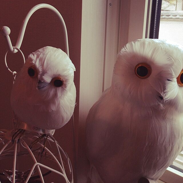 ALPSのプエブコ-プエブコ PUEBCO バードオフジェ ARTIFICIAL BIRDS 白フクロウ White Owl Lサイズ 111070の家具・インテリア写真