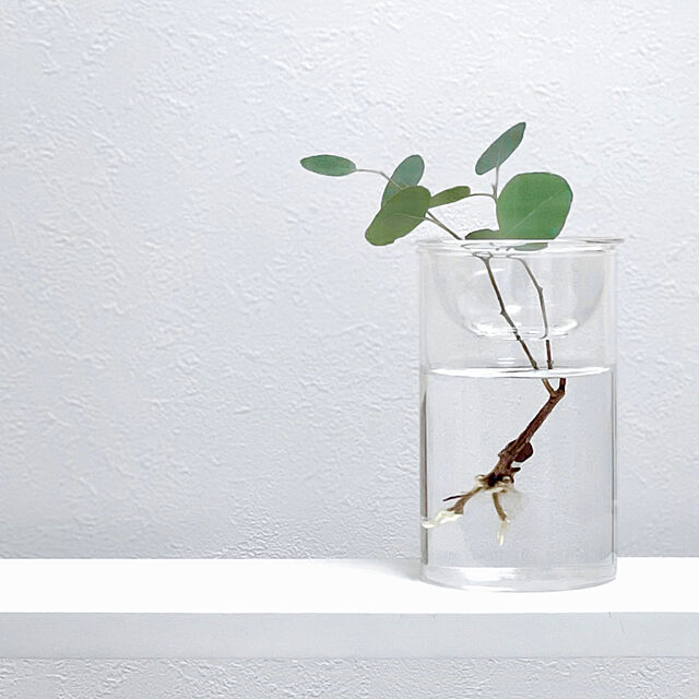 Yuuuuuのスパイス-SPICE OF LIFE(スパイス) 水替えしやすい 水栽培ガラスベース 花瓶 MINI BULB VASE バルブベース クリア 11cm KEGY4053の家具・インテリア写真