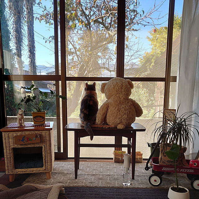 fukuの無印良品-無印良品 猫草栽培セット 2個入り 2セット 良品計画の家具・インテリア写真