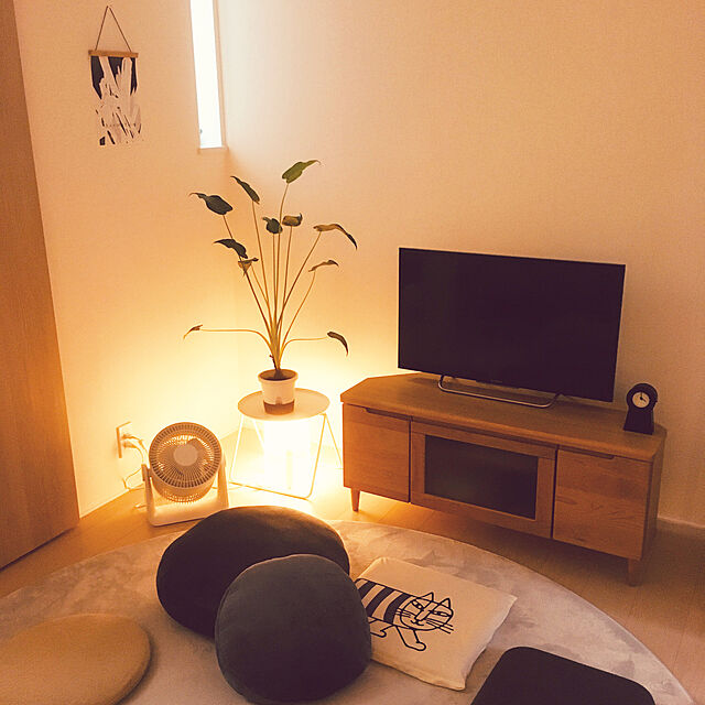 suna_kitsuneのニトリ-モチモチクッション 2個セット(N40R NV) の家具・インテリア写真
