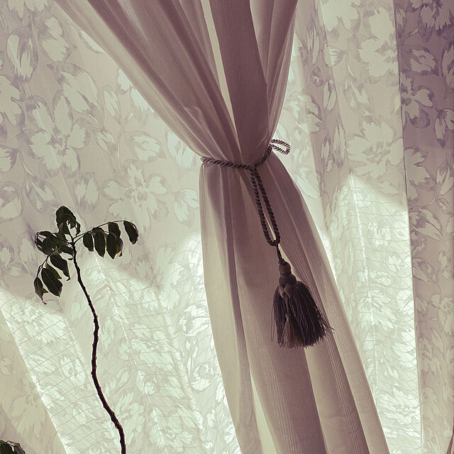 rinのニトリ-ミラー・花粉キャッチレースカーテン(キャッチCグリップ 150X198X2) の家具・インテリア写真