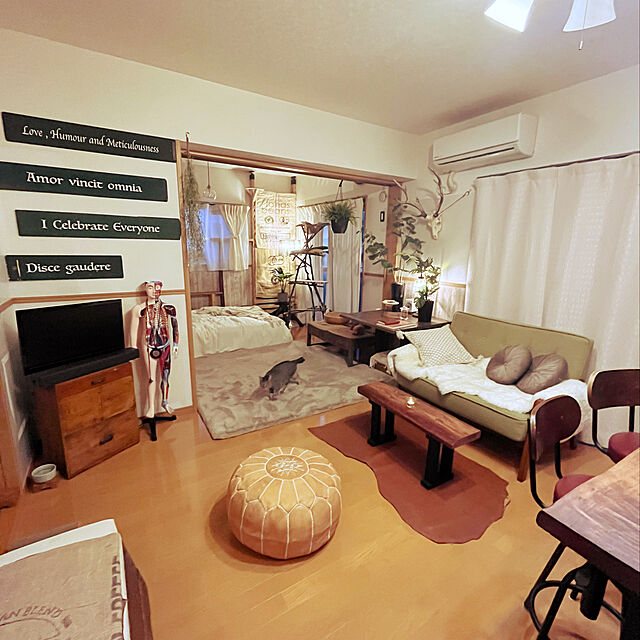 Mのニトリ-コンパクト ソファ(オッジIV) の家具・インテリア写真