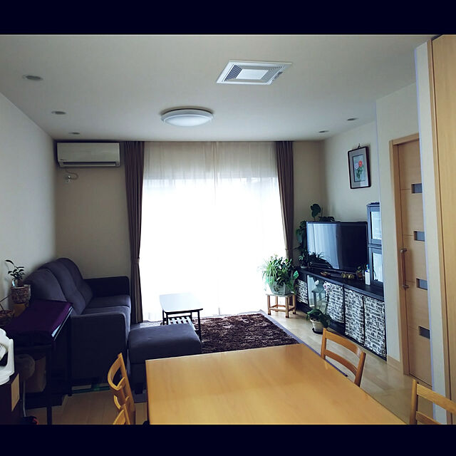 akiwaka-roomのニトリ-食器棚スリム(クローネ4560S DBR) の家具・インテリア写真