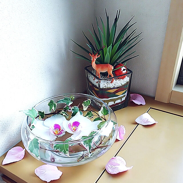 akiwaka-roomの-花瓶 フラワーベース 花びん 花器 ガラス花瓶 ガラスベース ガラス鉢 鉢 水鉢 ガラス製 おしゃれ 北欧 シンプル ナチュラル 丸型 浅いの家具・インテリア写真
