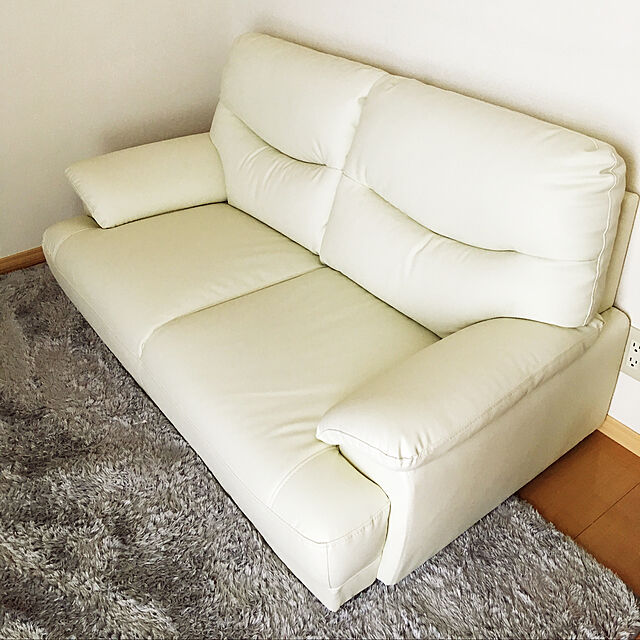 kのニトリ-2人用合皮ソファ(Nシールドキャッツ3 IV) の家具・インテリア写真