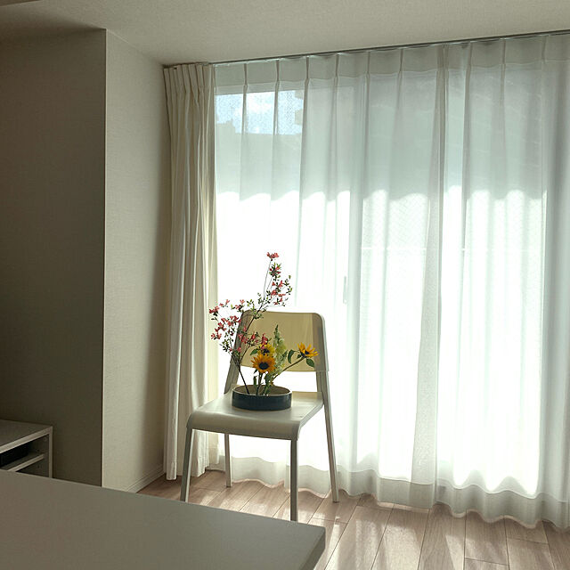 sssの有限会社インテリアナガオカ-エアピュリック　オリジナル　ミラーレースカーテン　両開き用（2枚１組）の家具・インテリア写真