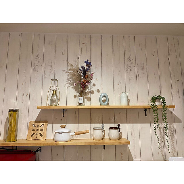 gumiのニトリ-グリーンネックレス セメントヘキサポット  【玄関先迄納品】の家具・インテリア写真