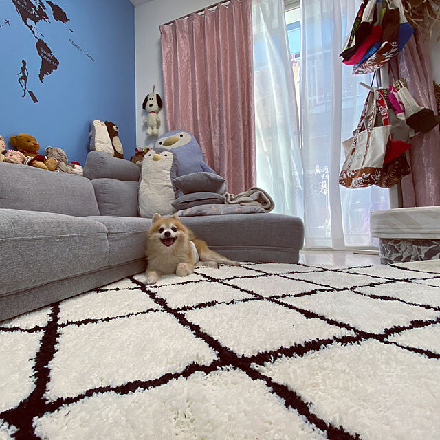 mimiのニトリ-ポールハンガー ヒーリオ(WH) の家具・インテリア写真