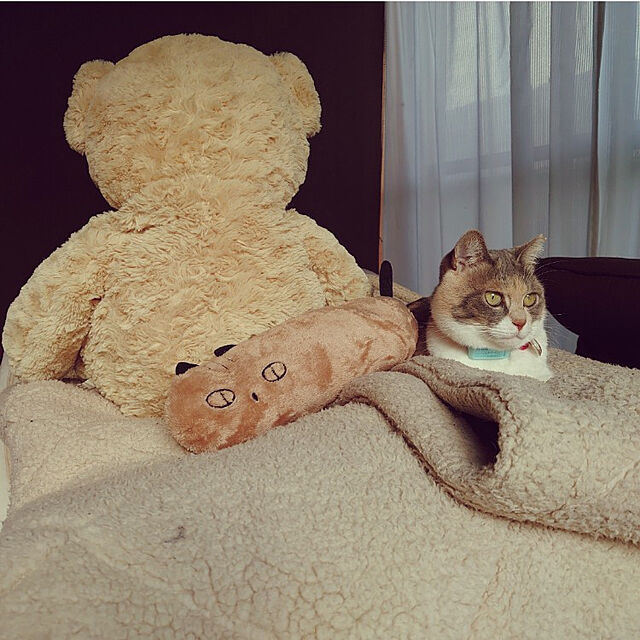 fukuのマルカン-マルカン 猫キック ブラウンの家具・インテリア写真