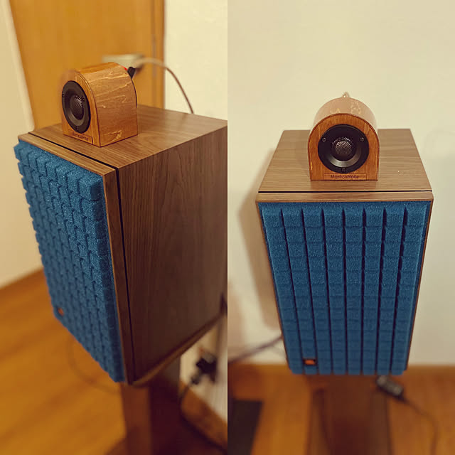 キャンペーンもお見逃しなく S-STW01 ムジカノート スーパーツイーター