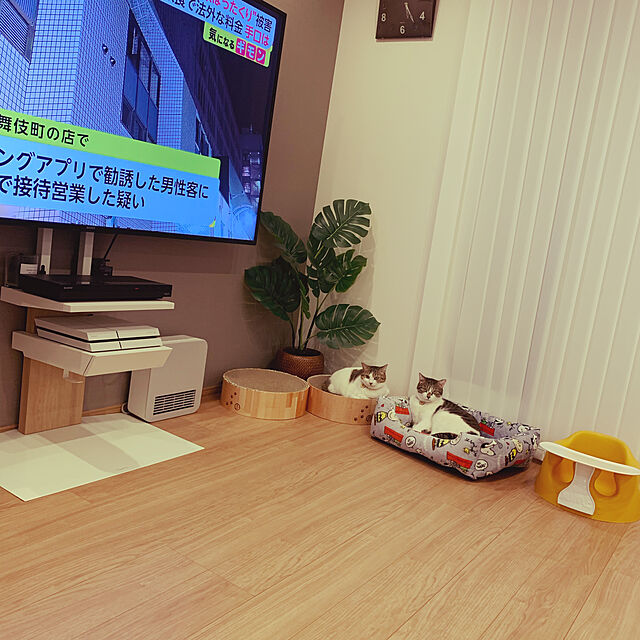 misacho.4の-バンボ Bumbo ベビーソファ＆専用プレートレイセット トレー 日本正規品 ティーレックス T-REXの家具・インテリア写真