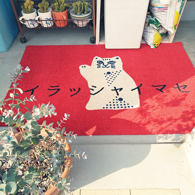 futukoのクリーンテックス・ジャパン-玄関マット WELCOME MAT 60×90cm ［全5デザイン］の家具・インテリア写真