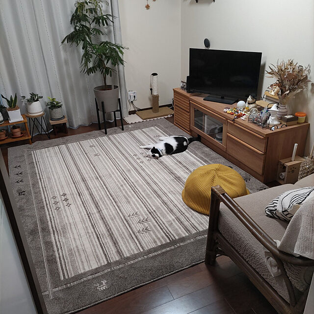 yuuのイケヒコ・コーポレーション-ラグ　ロキ　【イケヒコ】の家具・インテリア写真