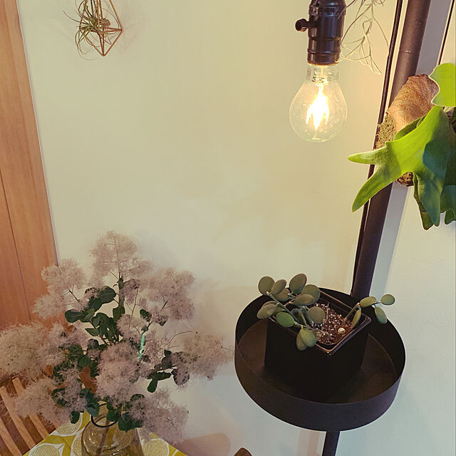 akiの-Google Home Mini チャコール（グーグル ホーム ミニ チャコール）の家具・インテリア写真