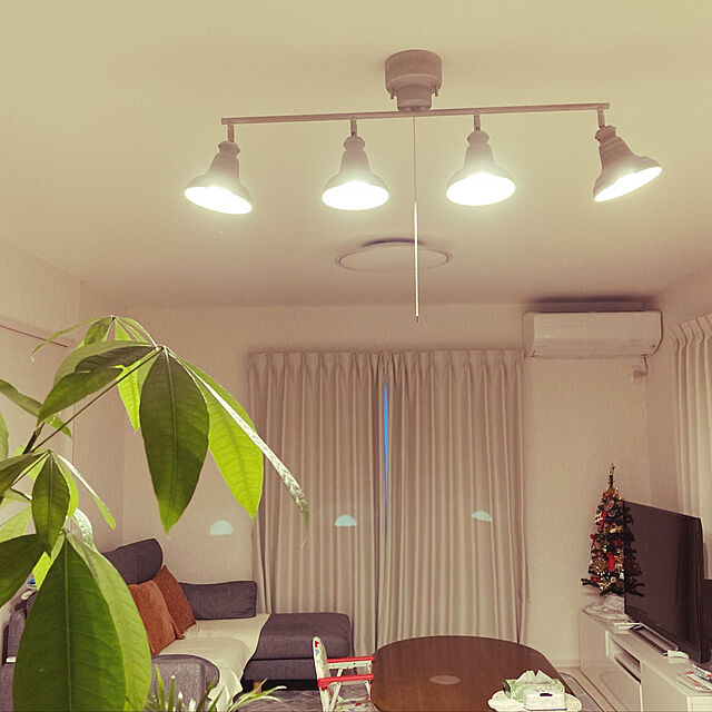funataroのAmpoule-Ampoule シーリングライト 照明 おしゃれ 4灯 バータイプ リビング ダイニング 寝室 カフェ レトロ アンティーク 照明器具 アンティークゴールド ヴィンテージグレー 8畳 ヴェリングの家具・インテリア写真