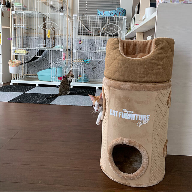 Miyureの-キャットタワー ハウス コンパクト LIFELIKE プレミアム プレイングキャットマンション 遊ぶ 運動 家 猫カフェ インテリア ネコ おもちゃ タワー 室内 シンプル 高級感の家具・インテリア写真