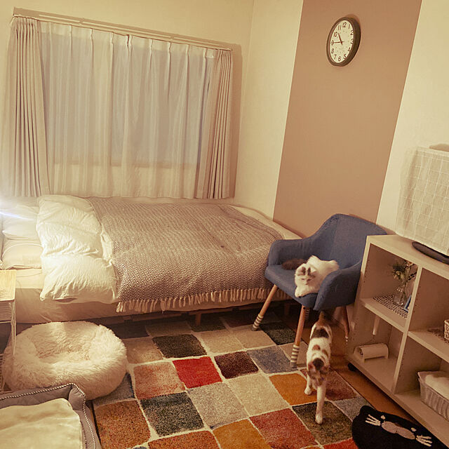 miwaのイケヒコ・コーポレーション-トルコ製　ウィルトン織カーペット『パレット　RUG』約133×190ｃｍ の家具・インテリア写真
