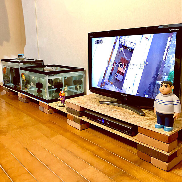Chiiの-インテリア ガラス水槽 60ワイドロー 60×45×36cmの家具・インテリア写真