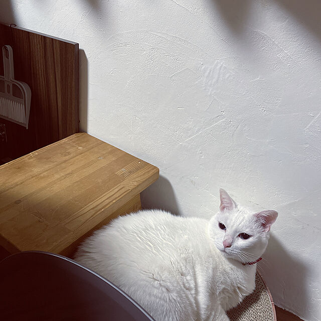 nekopanchiのリッチェル-リッチェル 猫用トイレ本体 ラプレ 壁高ネコトイレ ダークグレーの家具・インテリア写真