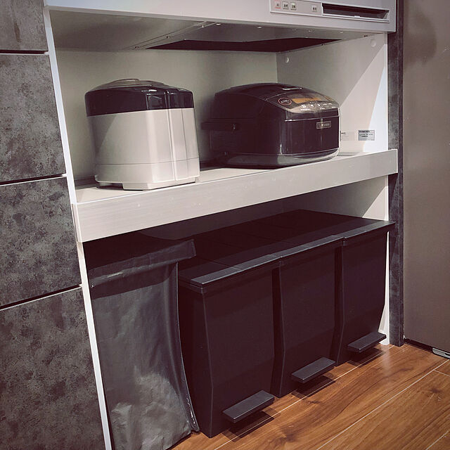 gavasのRisu-リス　ソロウ（SOLOW）　ペダルオープンツイン　20L　ブラック│ゴミ箱　キッチン用ゴミ箱 東急ハンズの家具・インテリア写真