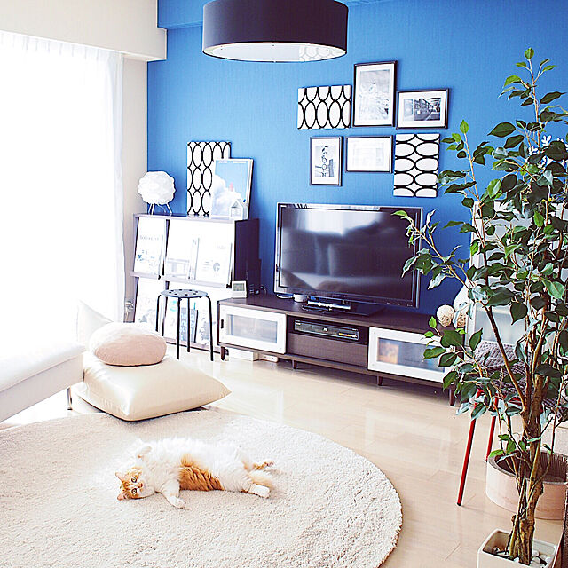 Reikoのニトリ-グリーン(KH ベンジャミン) の家具・インテリア写真