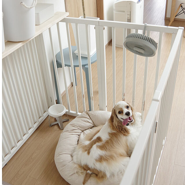 Shooowkoの-pecolo Food Stand S(Tall) ステンレス フードボウルスタンド 犬　フードボウルの家具・インテリア写真