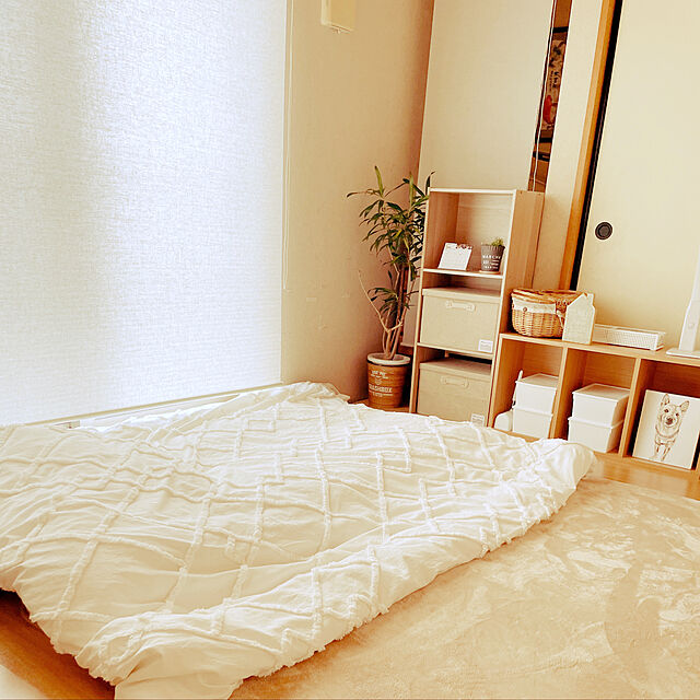 chan-chan-mickeyのニトリ-麻入り遮光ロールスクリーン(レプス 60X180) の家具・インテリア写真