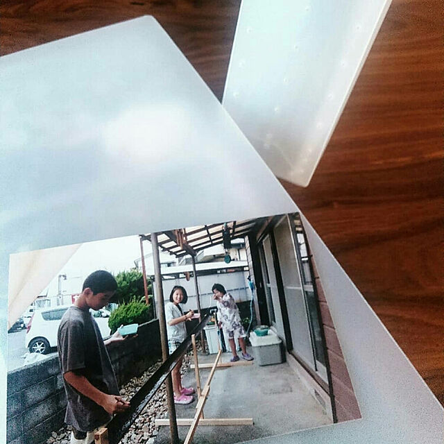 waniwaniの無印良品-【まとめ買い】ポリプロピレン高透明フィルムアルバム・３段・３冊組の家具・インテリア写真