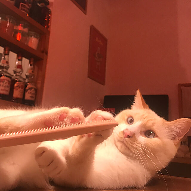 sakurasakuの鑢のワタオカ-ねこじゃすり ピンク ワタオカ 猫用 ブラシ 日本製の家具・インテリア写真