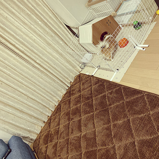 manaのアイリスオーヤマ-ケージ 犬 猫 小型 ペットサークル ペットケージ サークル 木目調 インテリアウッディサークル アイリスオーヤマ PWSR-960LVの家具・インテリア写真