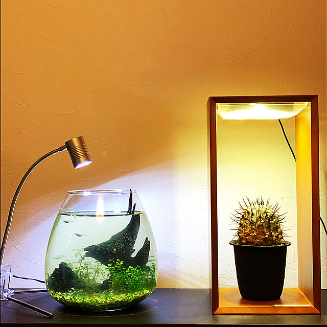 merocaの-GEX　水草・植物を育てるライト　クリアLED　リーフグロー　卓上ライト　アクアリウム　300lm　水槽　照明【HLS_DU】　関東当日便の家具・インテリア写真
