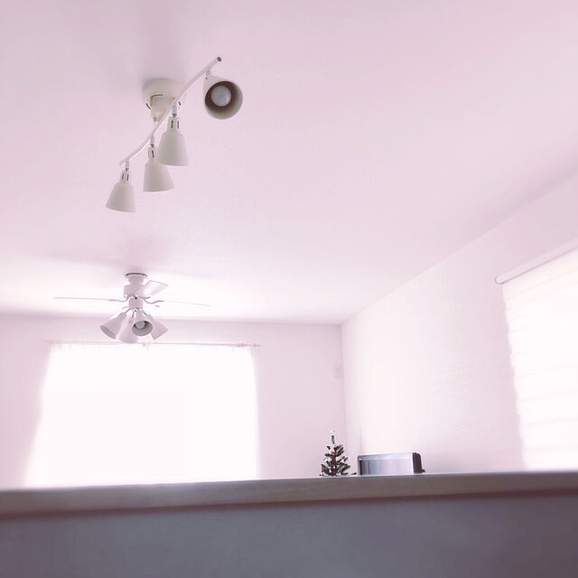ringomanのニトリ-レースカーテン(トーシュ 100X108X2) の家具・インテリア写真