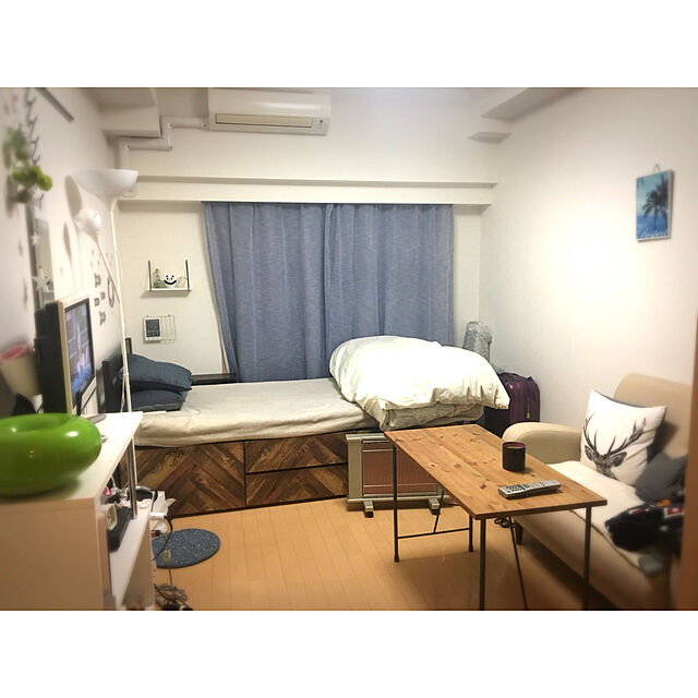 Miraiのニトリ-レースカーテン(ウィーク 100X176X2) の家具・インテリア写真