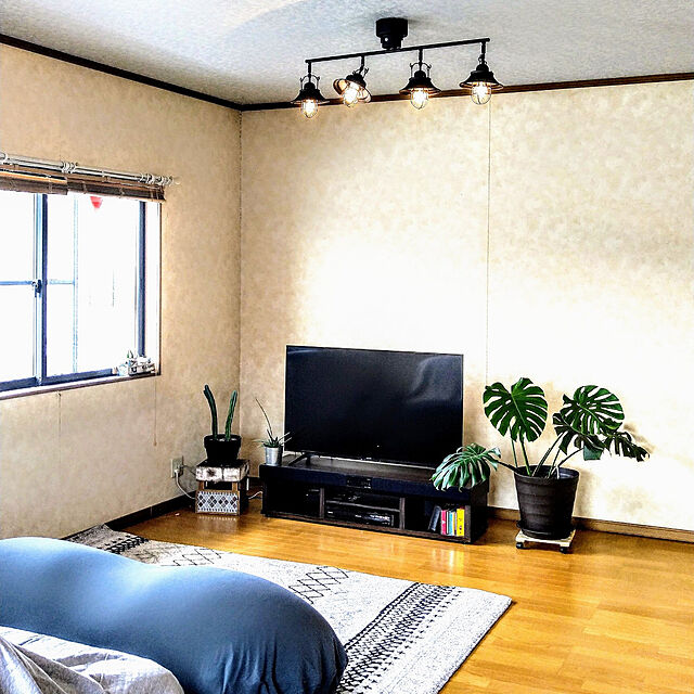 tomoのアイリスオーヤマ-ビーンズMAX ビーズクッションの家具・インテリア写真