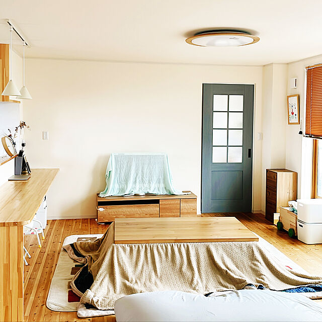 PESO.HOMEのニトリ-ふっくらウレタン入り保湿+吸湿発熱+蓄熱ラグ(Nウォーム モイストo-iBE130X185) の家具・インテリア写真