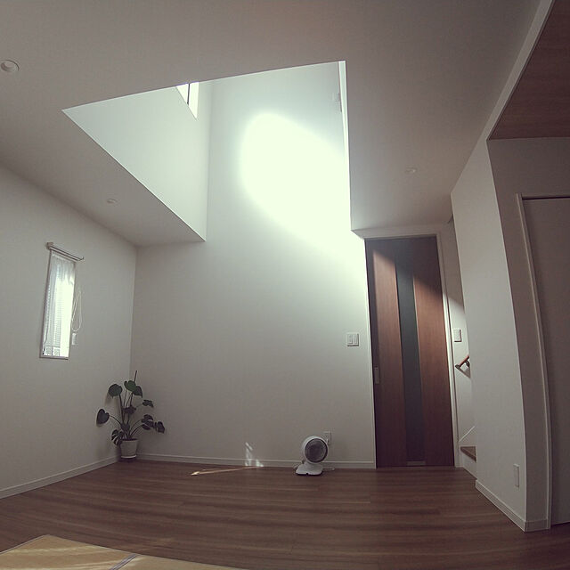 narikawaのニトリ-ミニカーテン (チェック 90X90)  【玄関先迄納品】の家具・インテリア写真