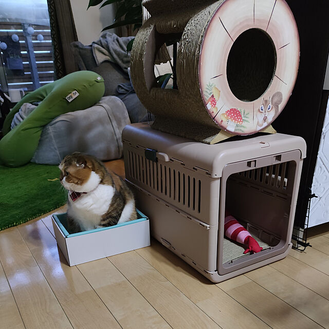 hiro3のリッチェル-リッチェル　キャンピングキャリー　折りたたみ　Ｍ　ダークブラウン　犬　猫　キャリーケース　ペットキャリー　コンテナ　クレート　お出かけの家具・インテリア写真