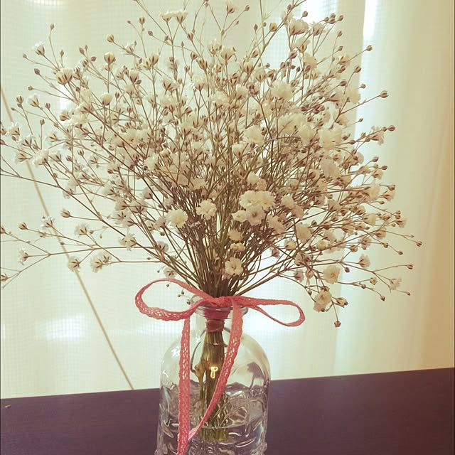 写真付きレビュー 切花 かすみ草 カスミソウ 10本 70cm お花のアクセントに絶対 かわいい ホワイト Rcp カスミ草 花言葉 清き心 結婚 内祝 プレゼント 誕生日 記念日の通販商品 口コミ情報 Roomclipショッピング