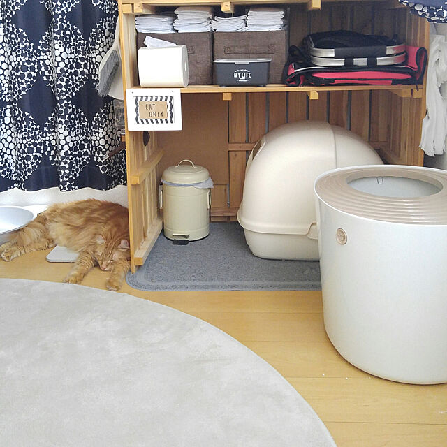 l..tomesanのアイリスオーヤマ-猫 トイレ カバー 飛び散らない 上から猫トイレ PUNT-530 ホワイト・オレンジ アイリスオーヤマ猫トイレ 本体 ネコトイレ 猫 ネコの家具・インテリア写真