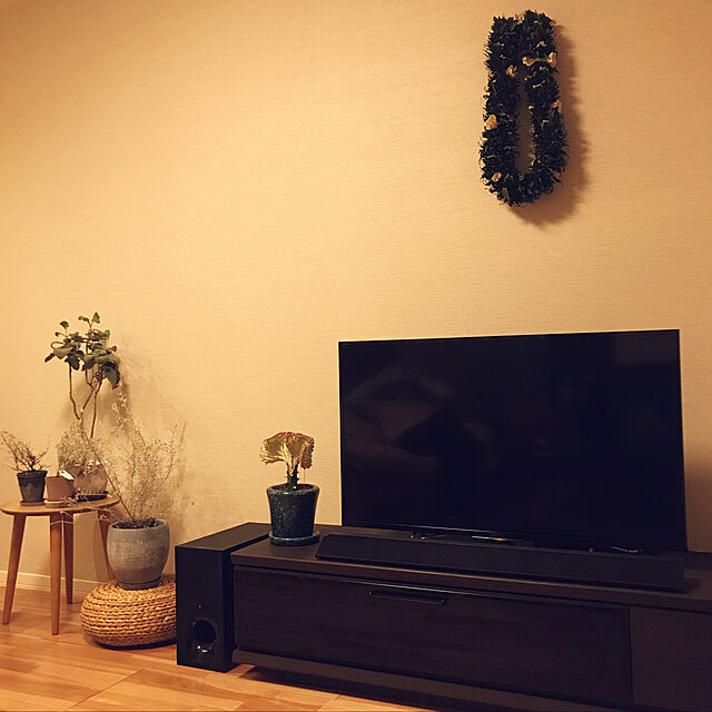 momokのニトリ-前板に天然木アルダー材を使用した高級感のある幅150cmテレビボード(W150 MBR) の家具・インテリア写真